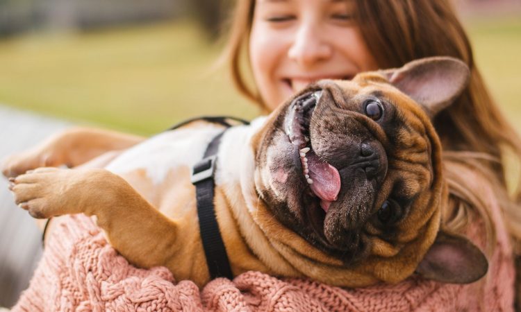 Nombres para perros machos [+ de 100 ideas]