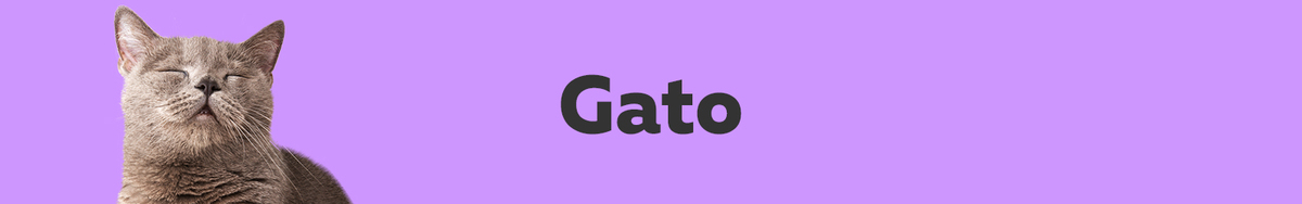 Gatos Gatos
