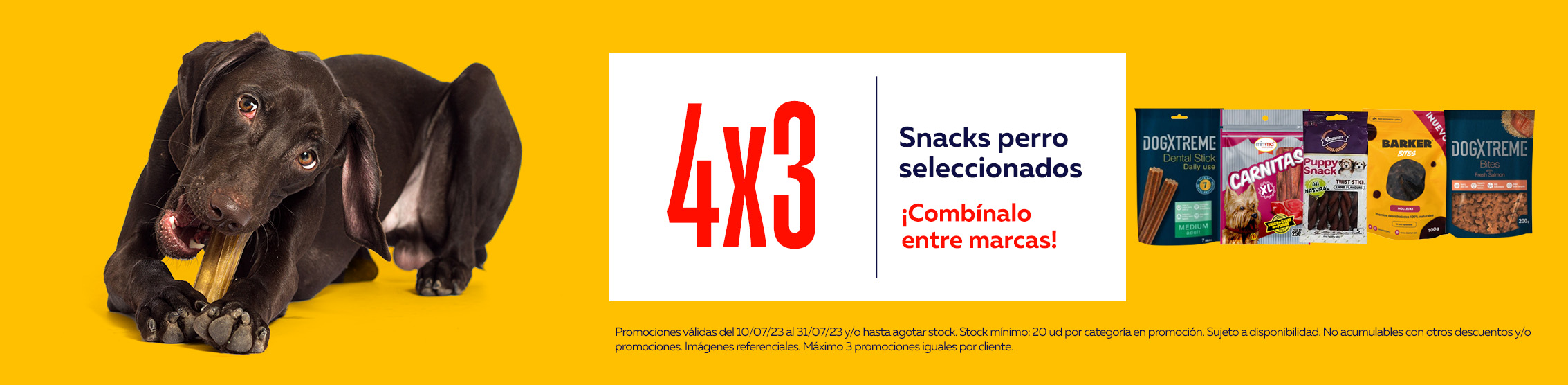 snacks perro