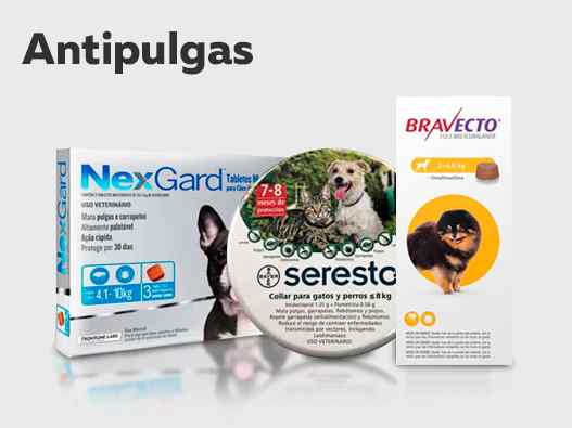 Antiparasitarios