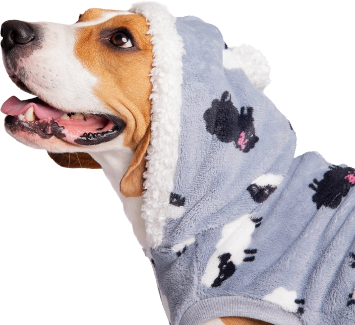 Perro SuperPet