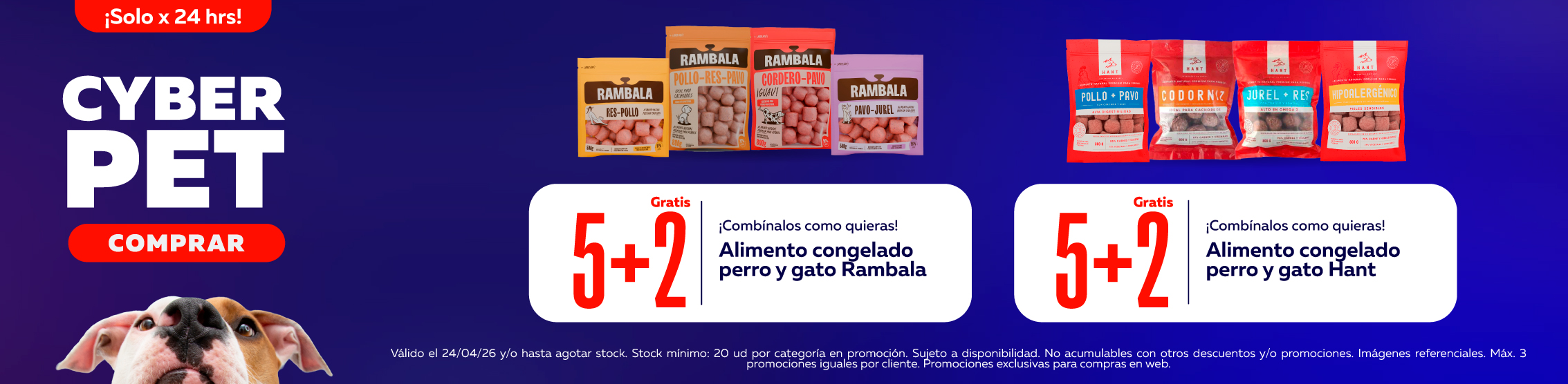 cyber pet bomba congelados