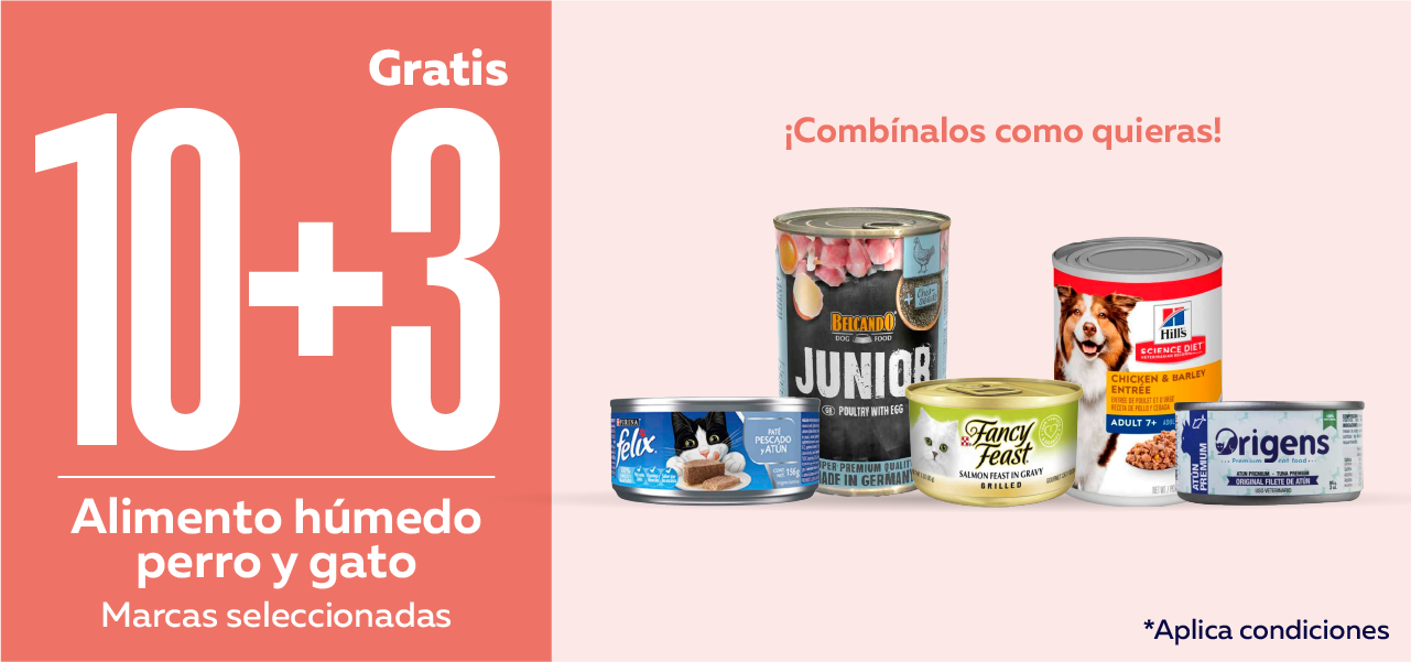 Alimento húmedo