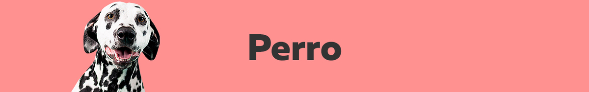 Perro Perro