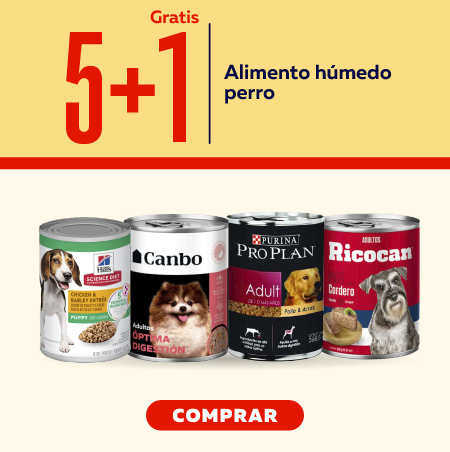Alimento húmedo perro