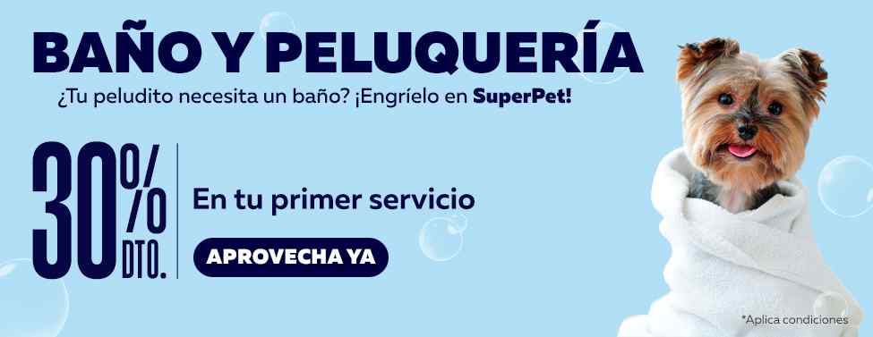 ¿Necesitas asesoría?