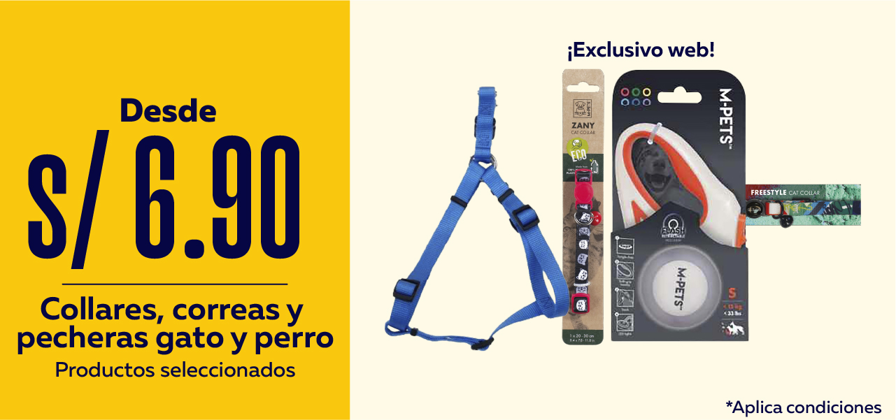 Collares y correas seleccionadas