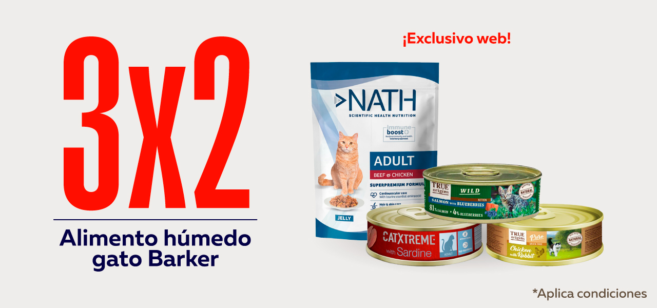 Alimento húmedo