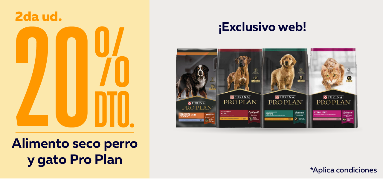 Pro Plan