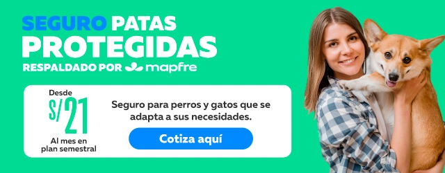 Seguro patas protegidas