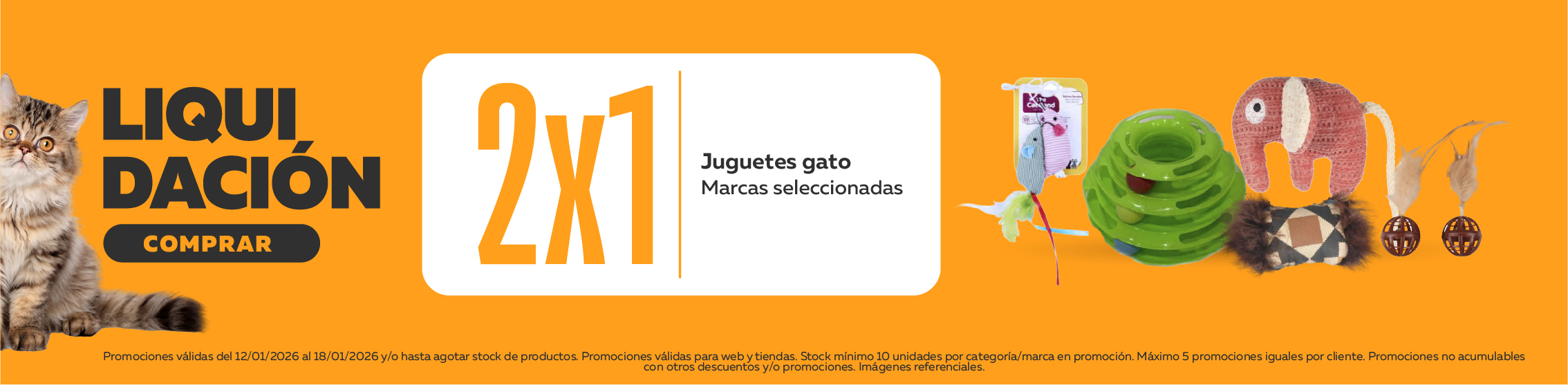 Imperdibles juguetes gato