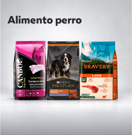 Alimento seco perro Alimento seco perro