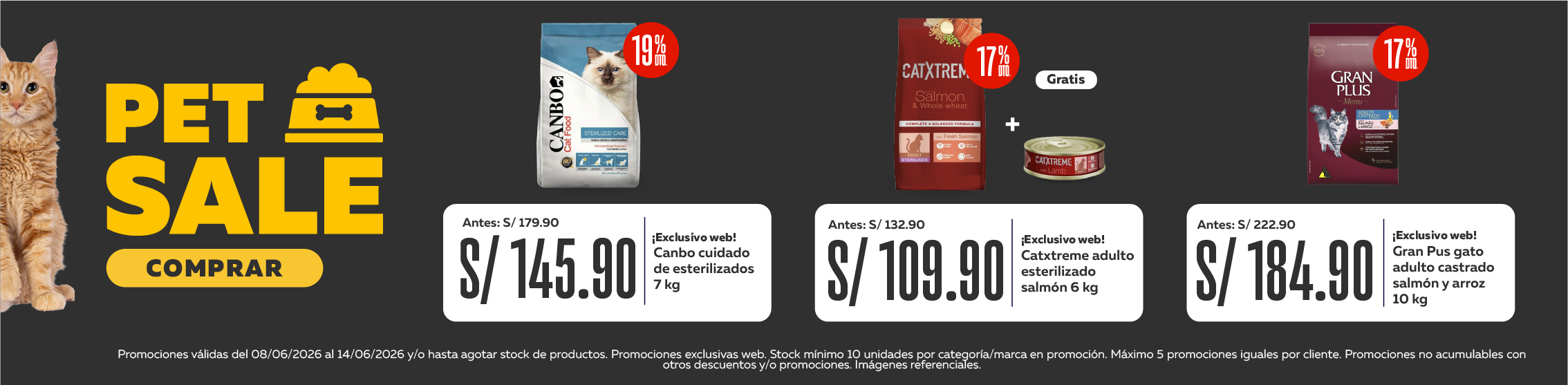 Pet Sale gato