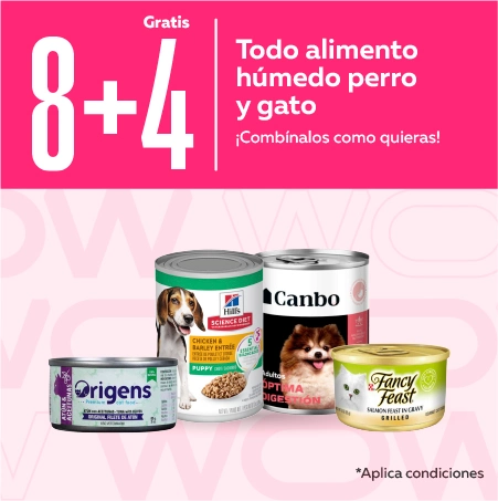 Alimento húmedo