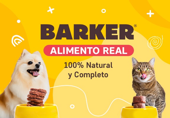 Barker banner-principal-mobile