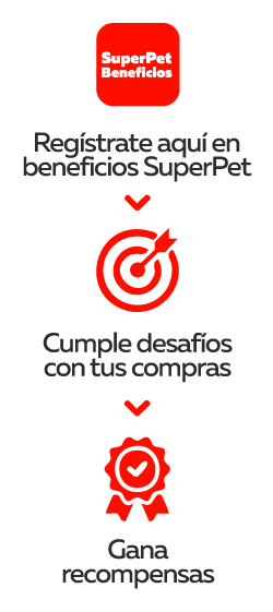 Registrate en WhatsApp, cumple desafíos, gana recompensas