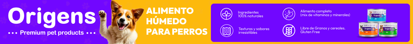 alimento húmedo perro