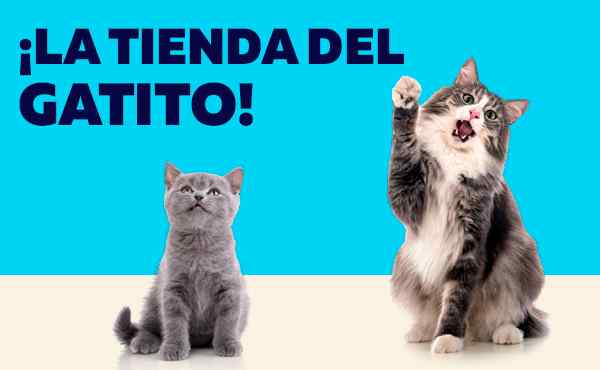 Mundo gatuno