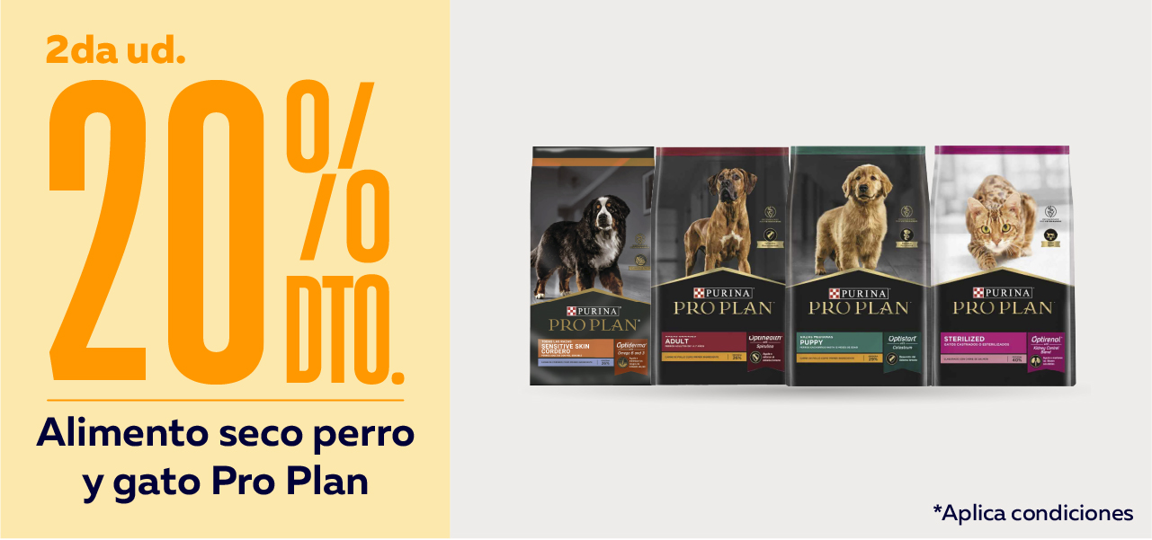 Pro Plan
