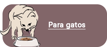 Comederos para Gato