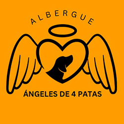 Ángeles de 4 patas