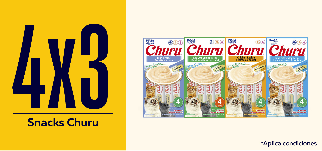Churu