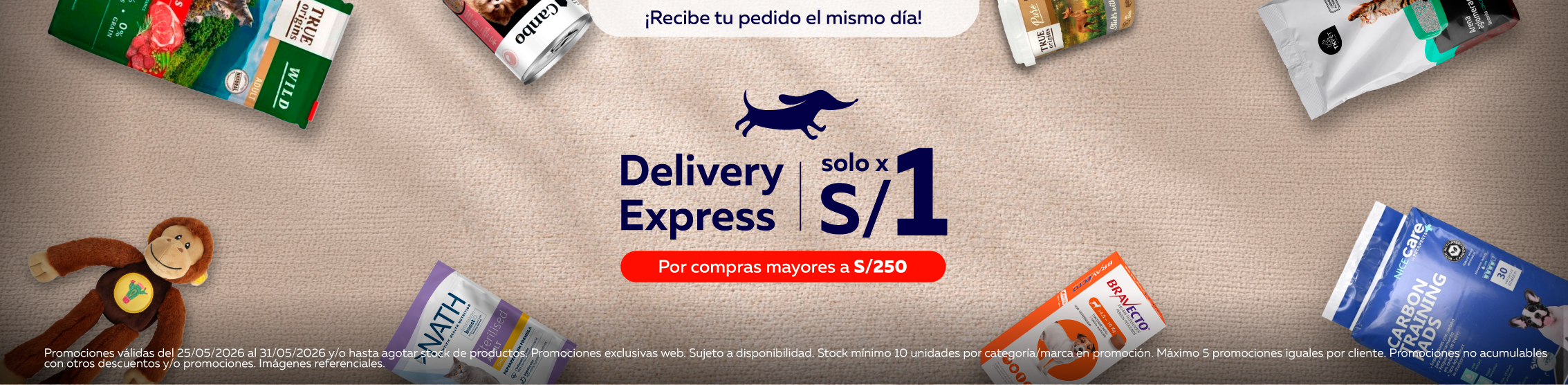delivery express 1 sol