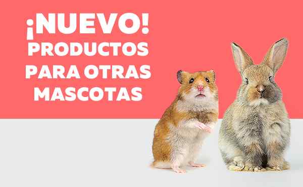 Todo en snack y Golosinas