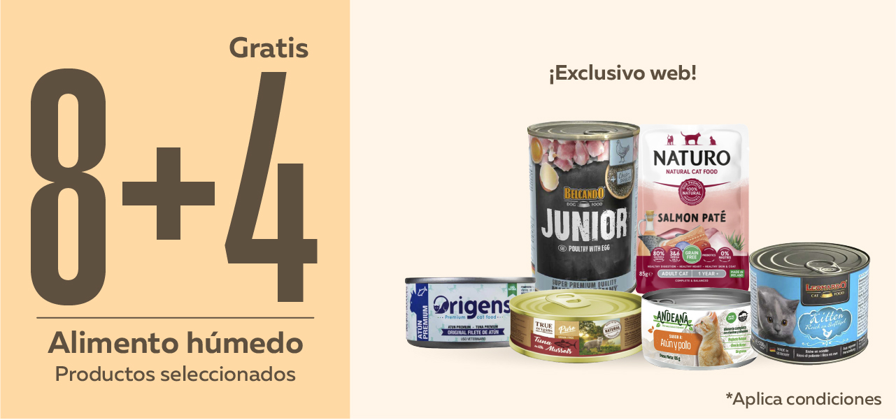 Alimento húmedo