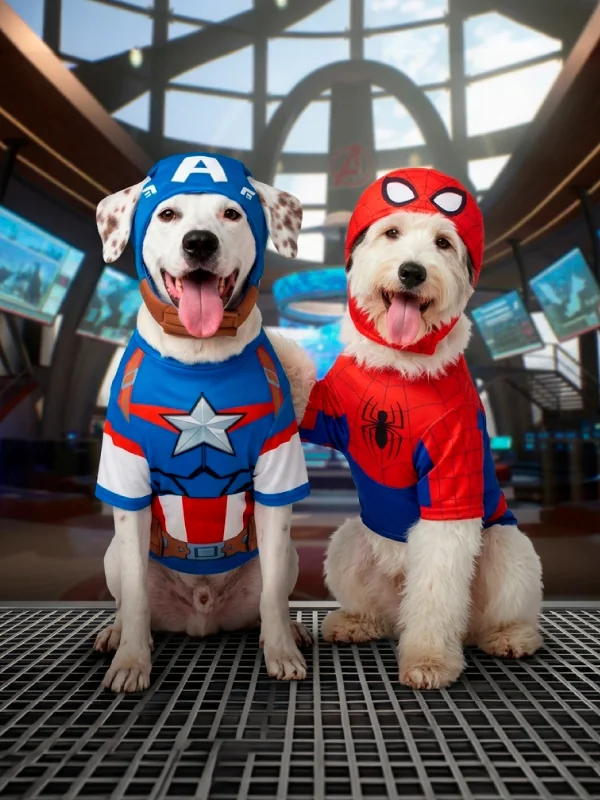 Dos perros con disfraces de Capitán América y Spiderman