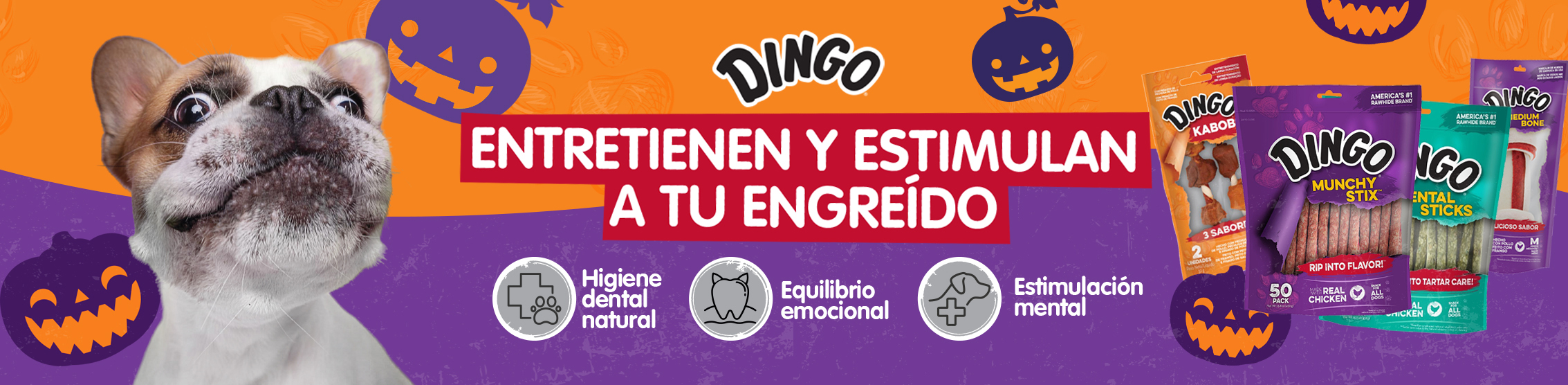 Entretienen y estimulan a tu egre&iacute;do