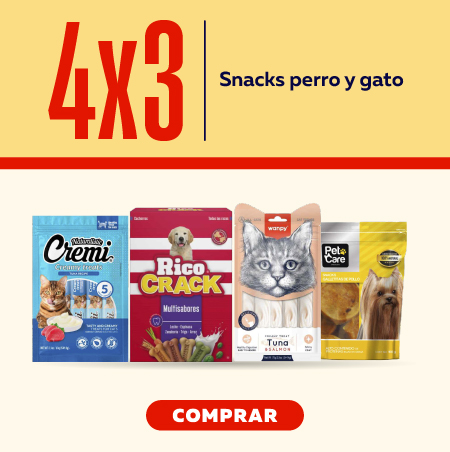 Snacks