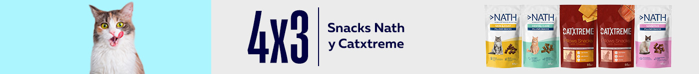 snacks gato