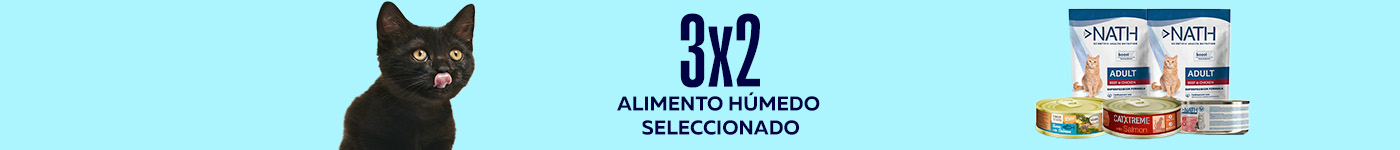 Alimento Húmedo gato