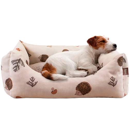 Cama