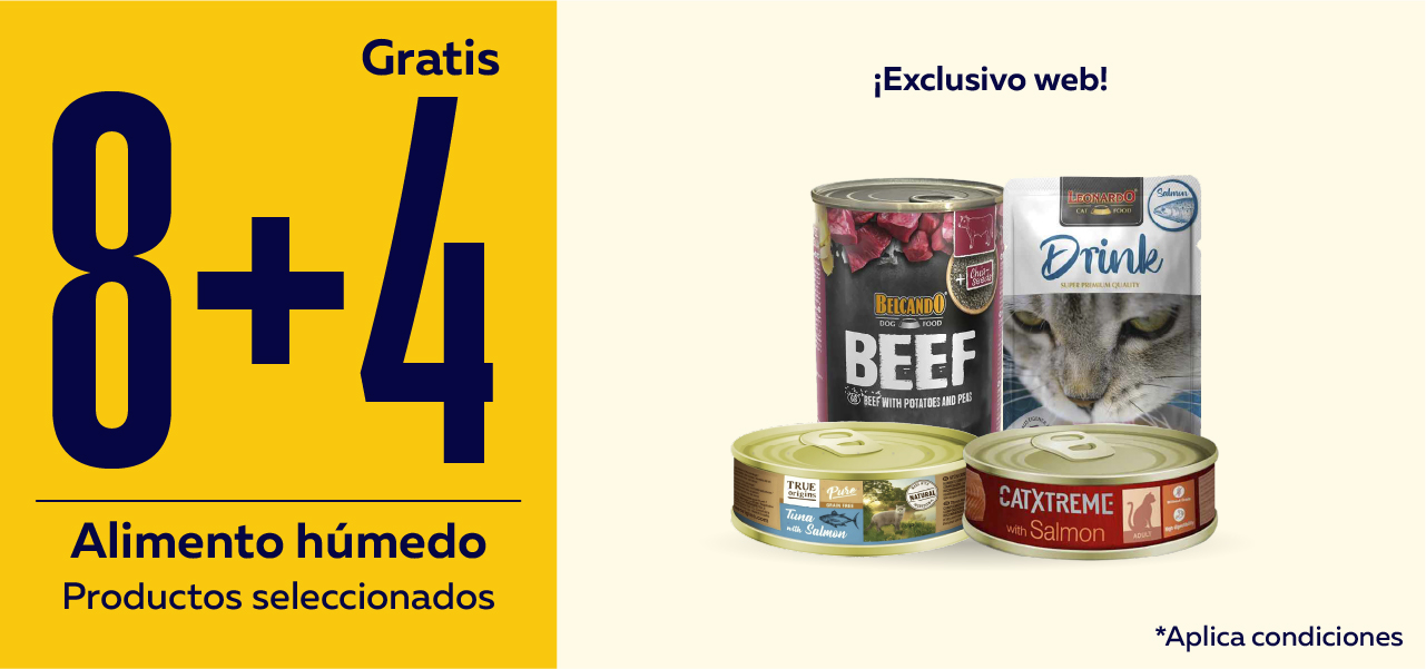 Alimento húmedo