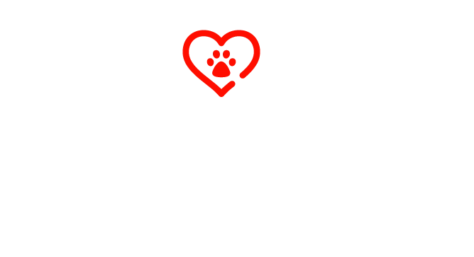 adopta una mascota