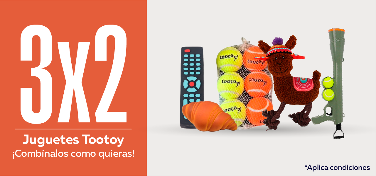Tootoy