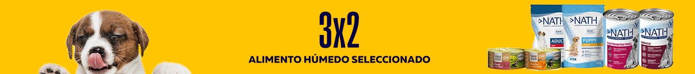 Alimento Húmedo perro