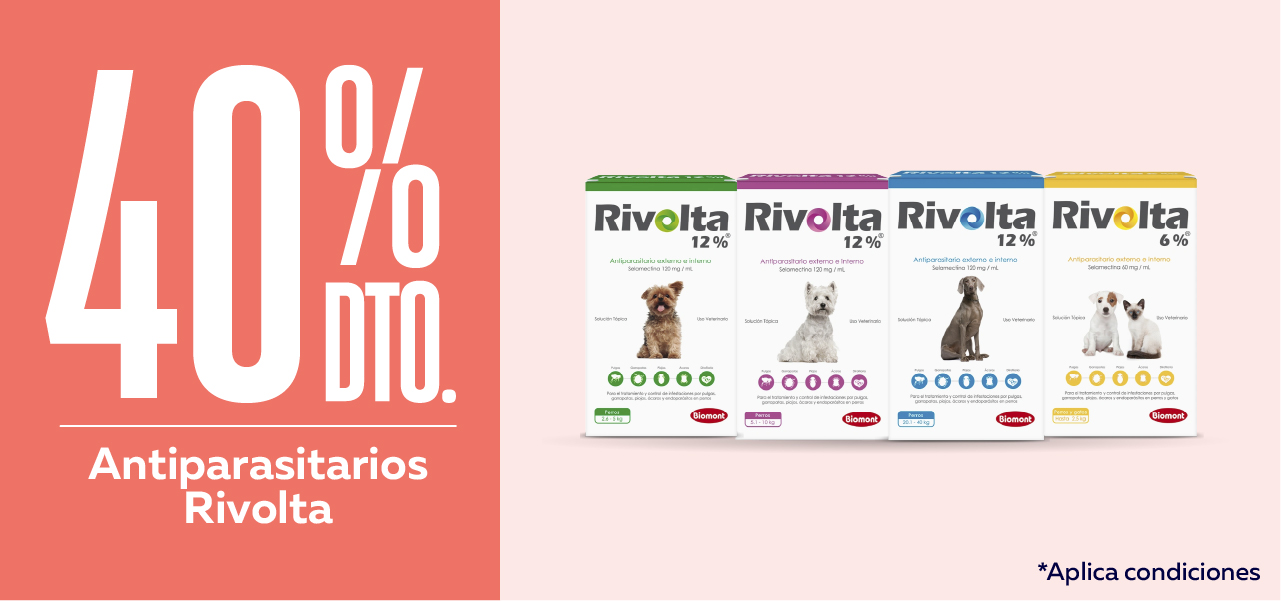 Rivolta