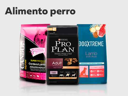 Alimento perro