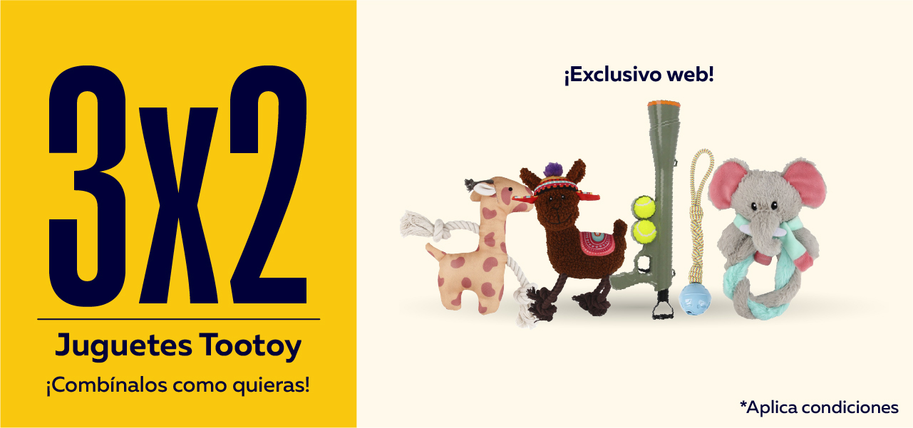 Tootoy
