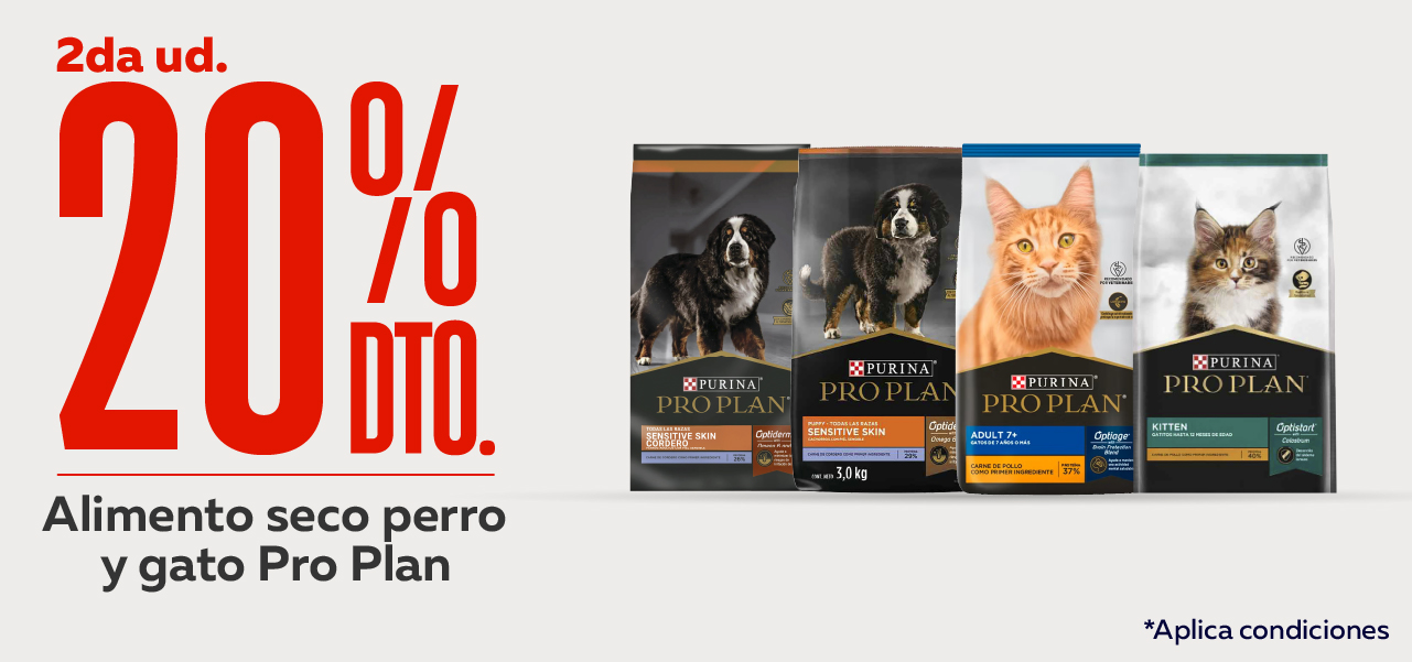 Pro Plan
