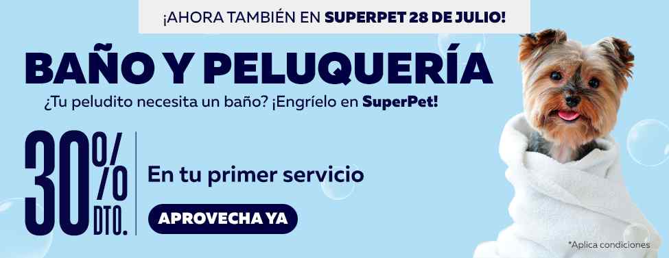 ¿Necesitas asesoría?
