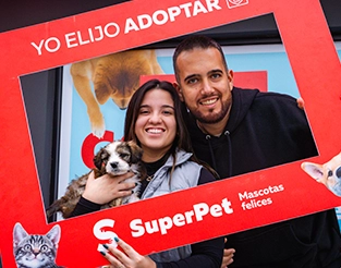 Adopción