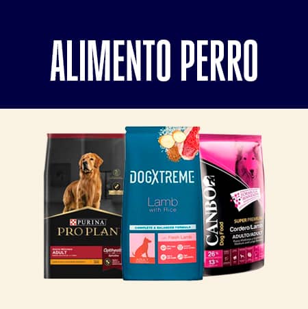 Alimento perro