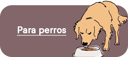 Comederos para Perro