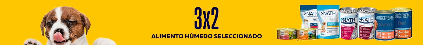 alimento húmedo perro