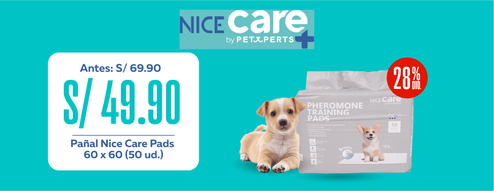Nice Care
