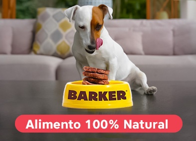 Barker perro mobile